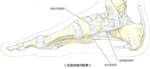 足部靭帯損傷2